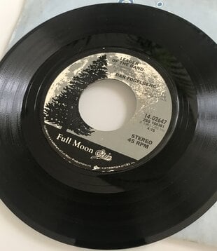 Dan Fogelberg - Leader Of The Band / Times Like These - Vinyl 45 (USED)
