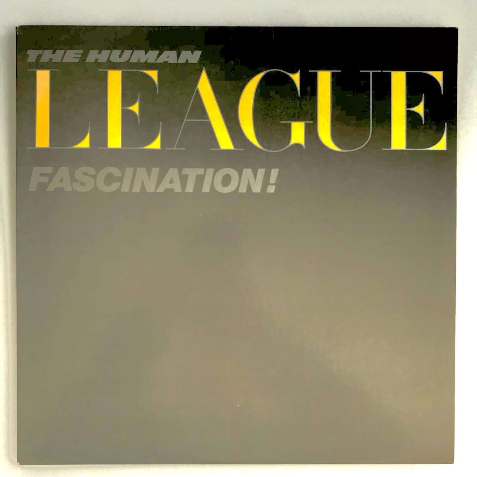 Fascination!