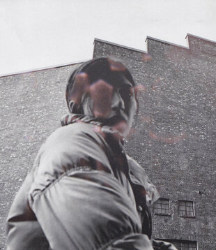 Aldous Harding - Warm Chris - Vinyl LP (NEW)