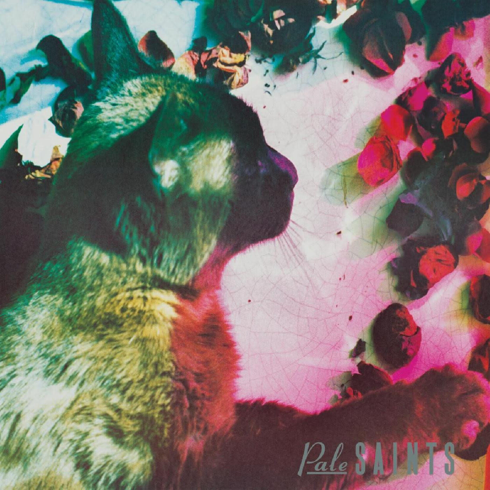 Pale Saints - The Comforts of Madness (30th Anniversary Reissue) - Vinyl LP (NEW)