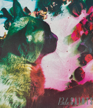 Pale Saints - The Comforts of Madness (30th Anniversary Reissue) - Vinyl LP (NEW)