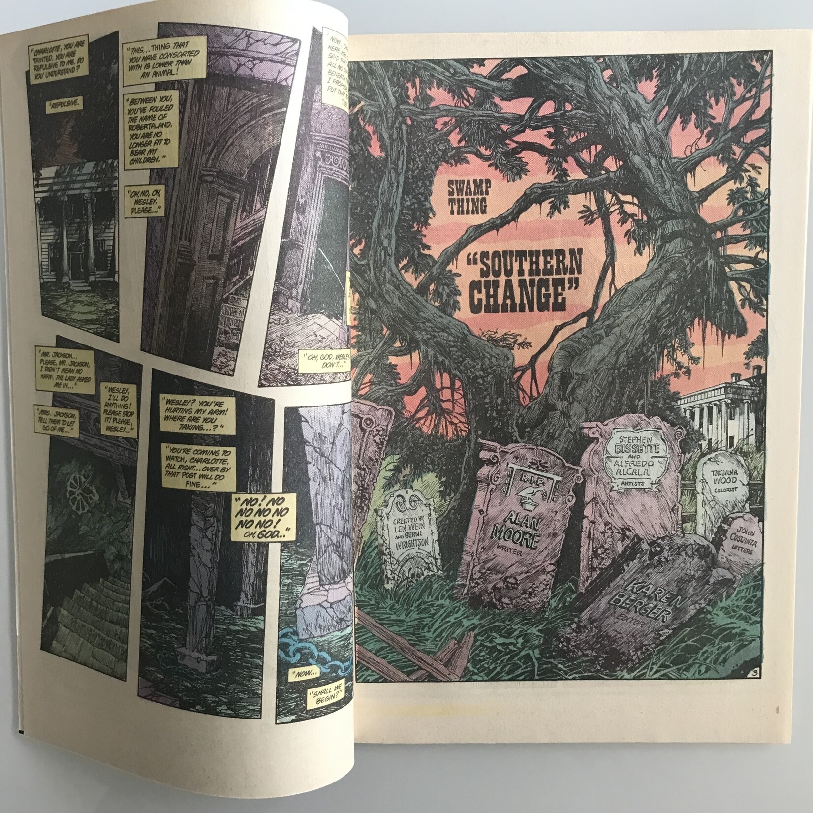 Swamp Thing - Vol. 2 #41 October 1985 - Comic Book (VG)
