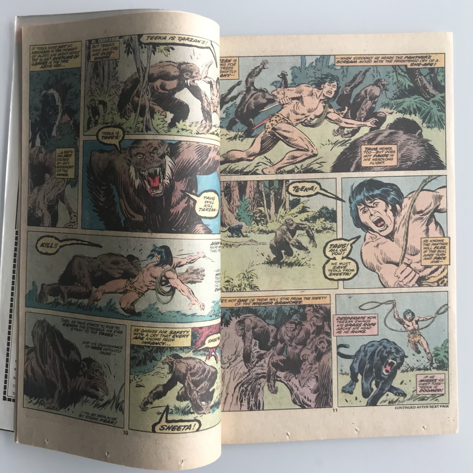 Tarzan Annual - Vol. 1 #1 - Comic Book