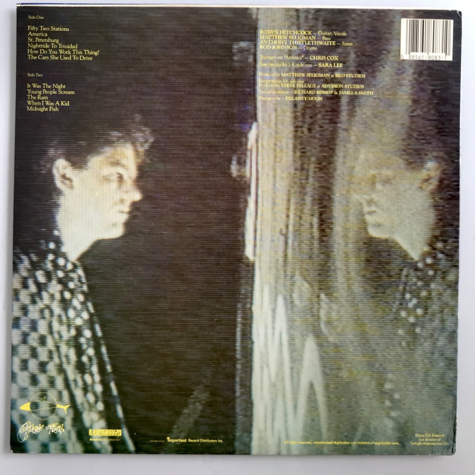 Robyn Hitchcock - Groovy Decoy - Vinyl LP (USED)