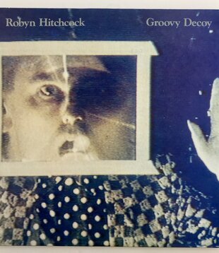 Robyn Hitchcock - Groovy Decoy - Vinyl LP (USED)