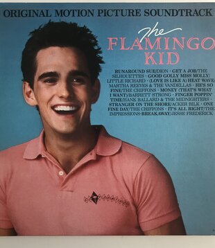 Various - Flamingo Kid Original Soundtrack - Vinyl LP (USED)