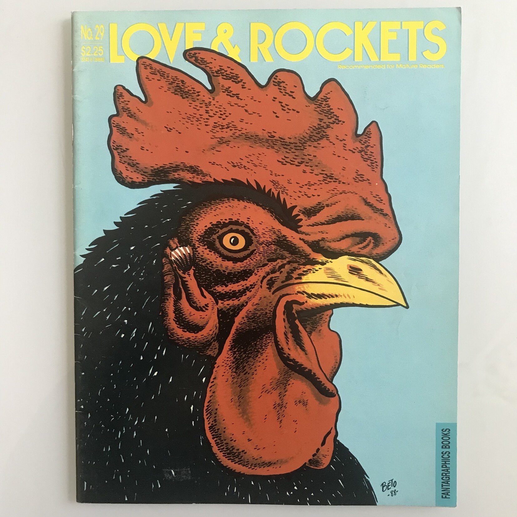 Love & Rockets - Vol. 1 #29 March 1989 - Comic Book
