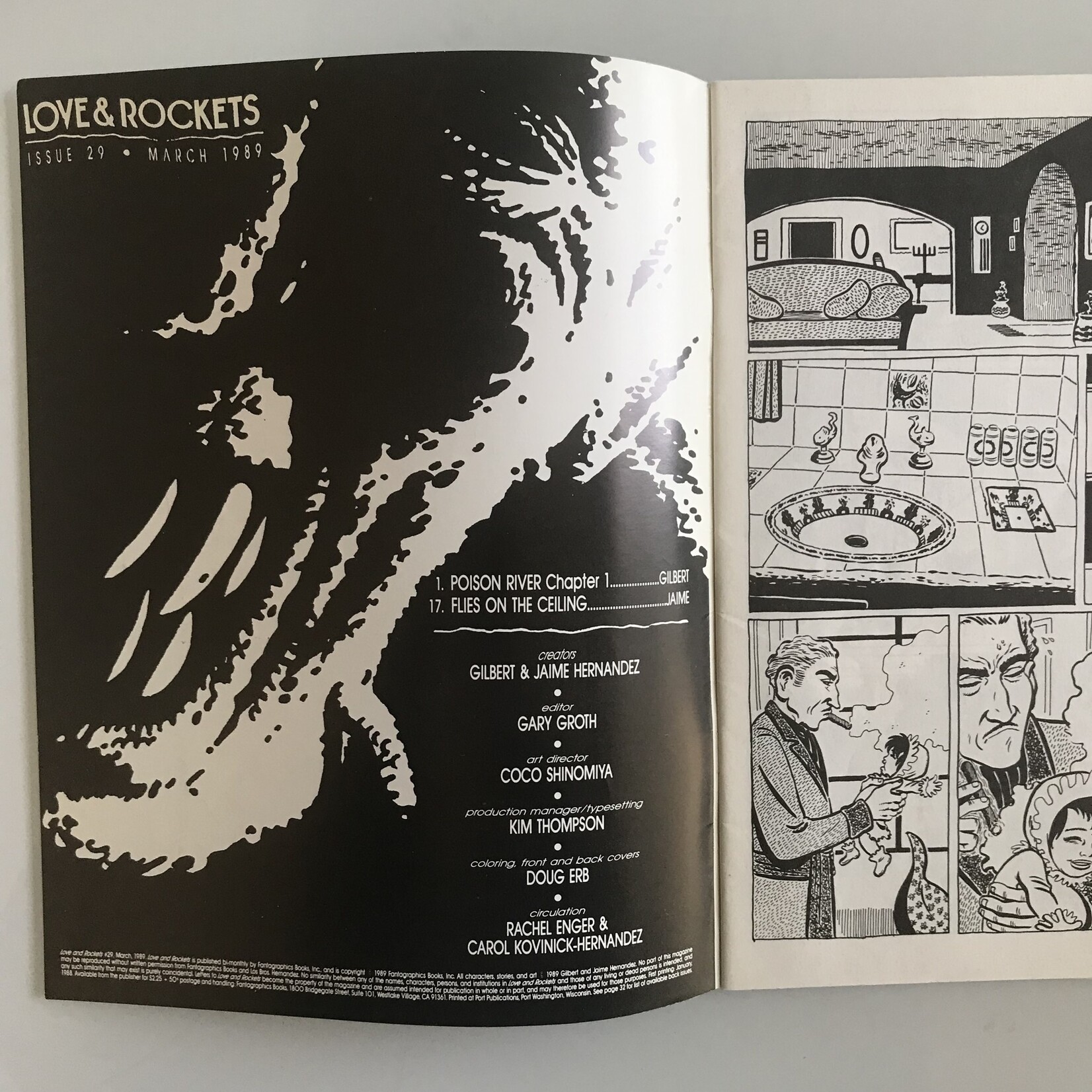 Love & Rockets - Vol. 1 #29 March 1989 - Comic Book