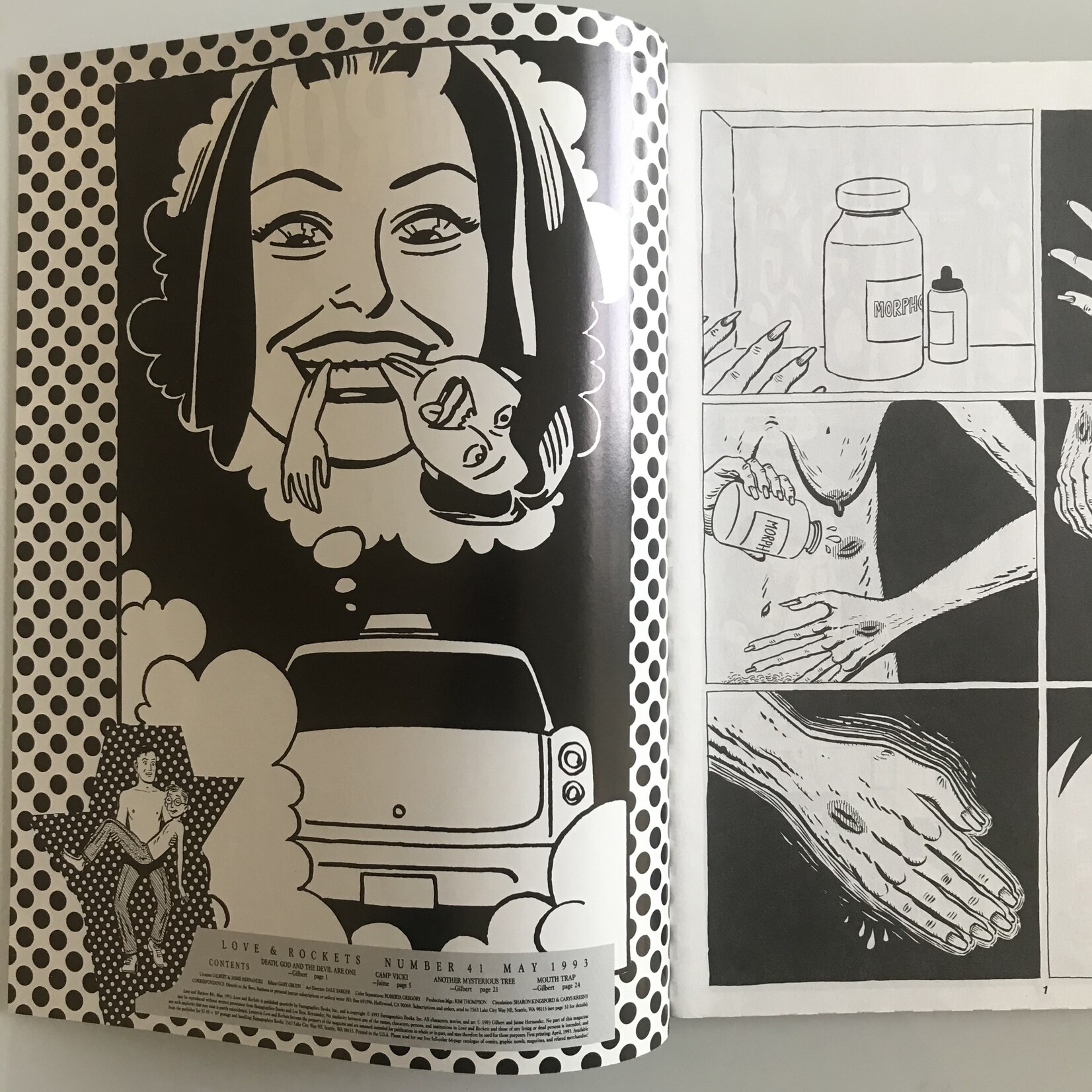 Love & Rockets - Vol. 1 #41 May 1993 - Comic Book