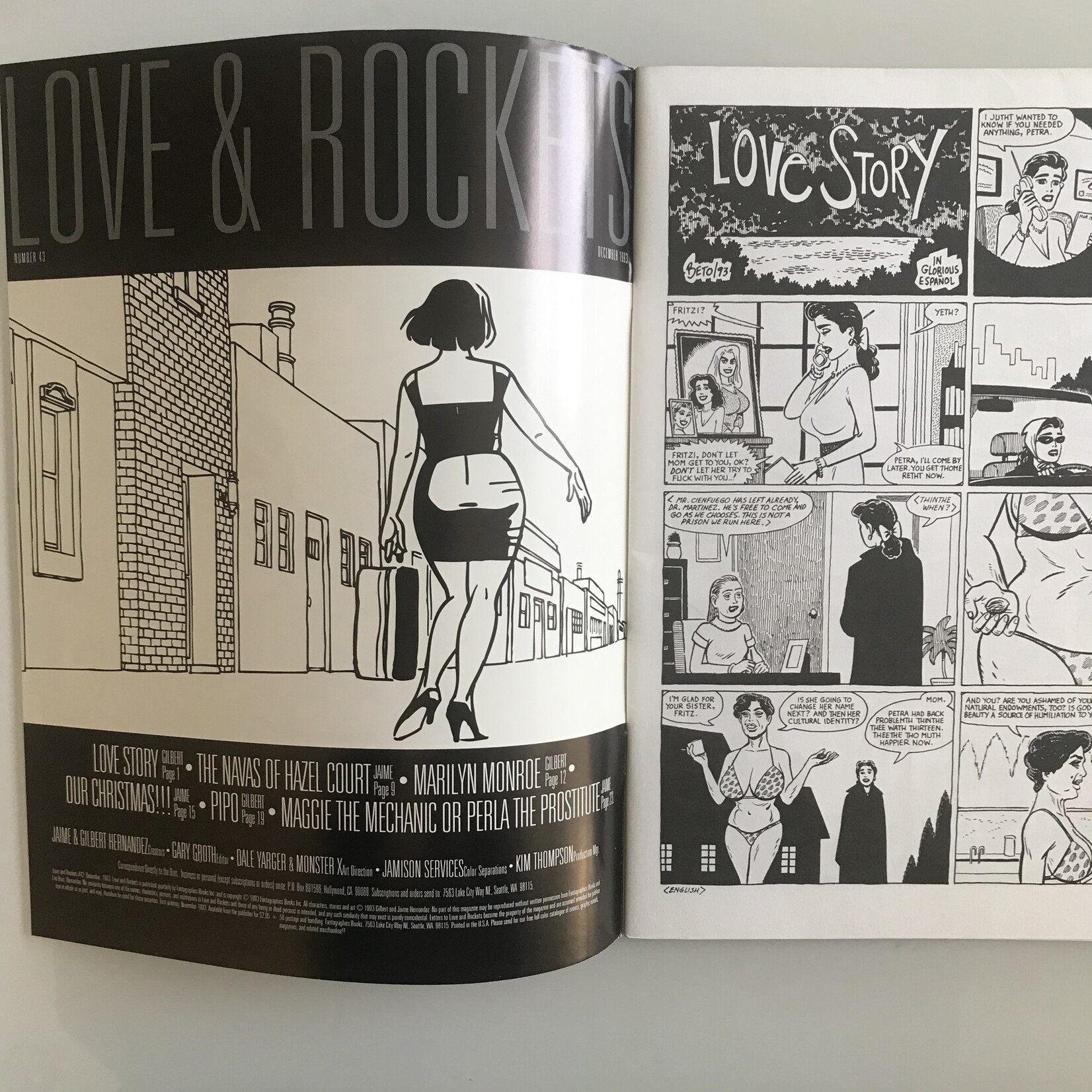 Love & Rockets - Vol. 1 #43 December 1993 - Comic Book