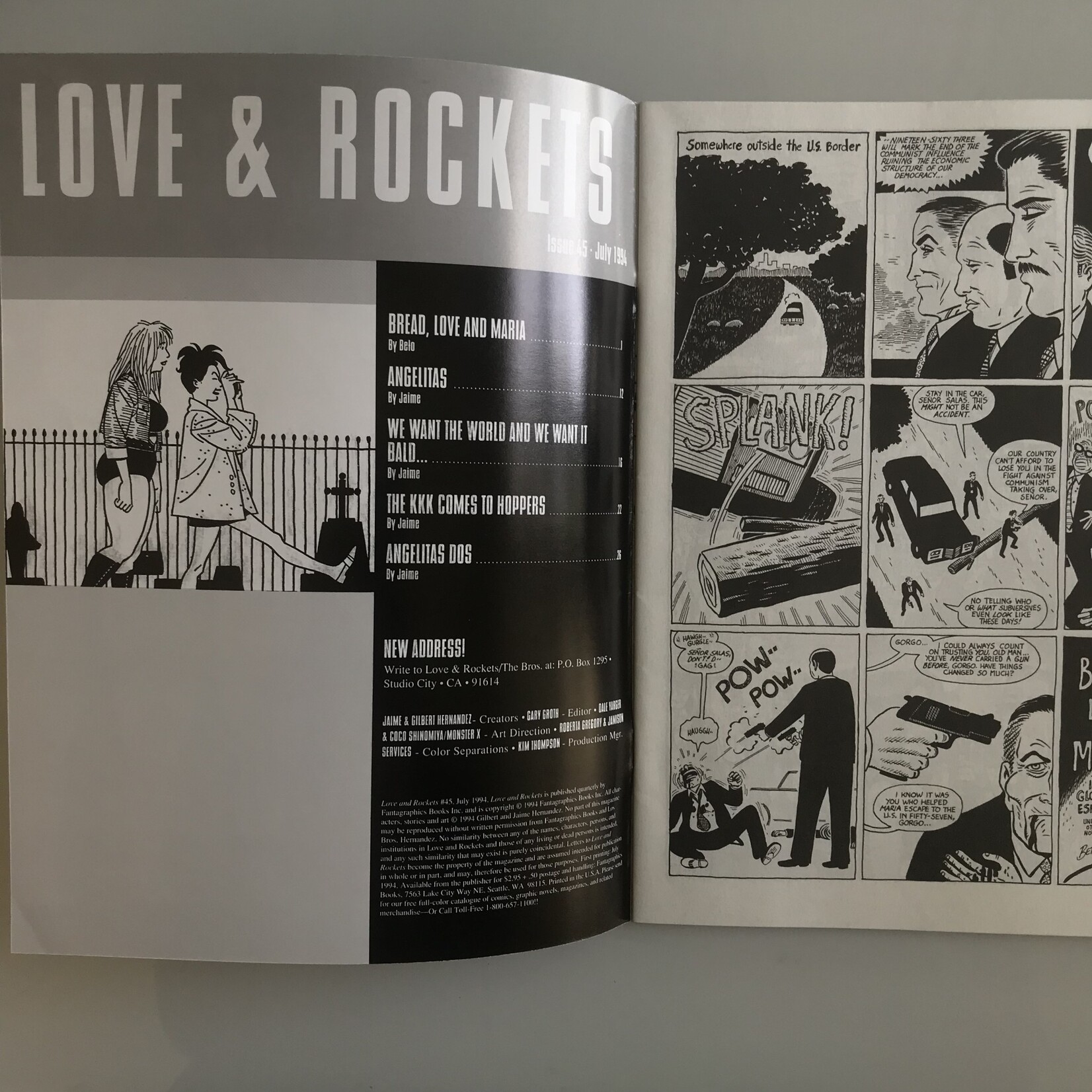 Love & Rockets - Vol. 1 #45 July 1994 - Comic Book