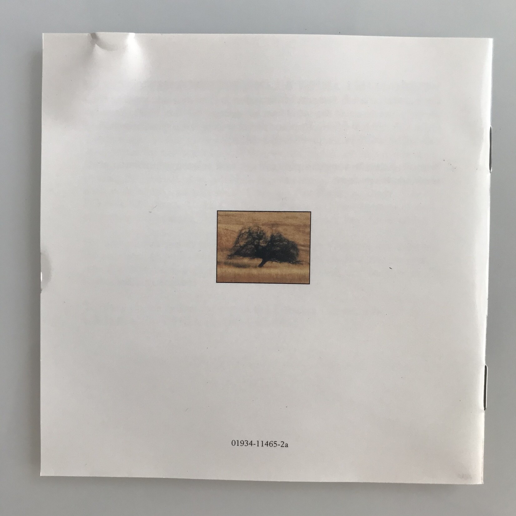 George Winston - Plains - CD (USED)