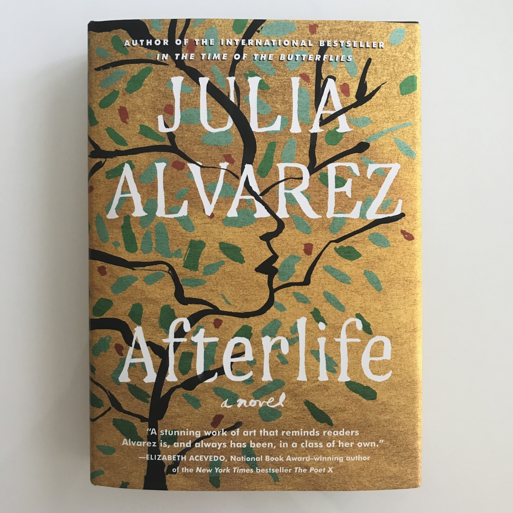 Julia Alvarez - Afterlife - Hardback (USED)