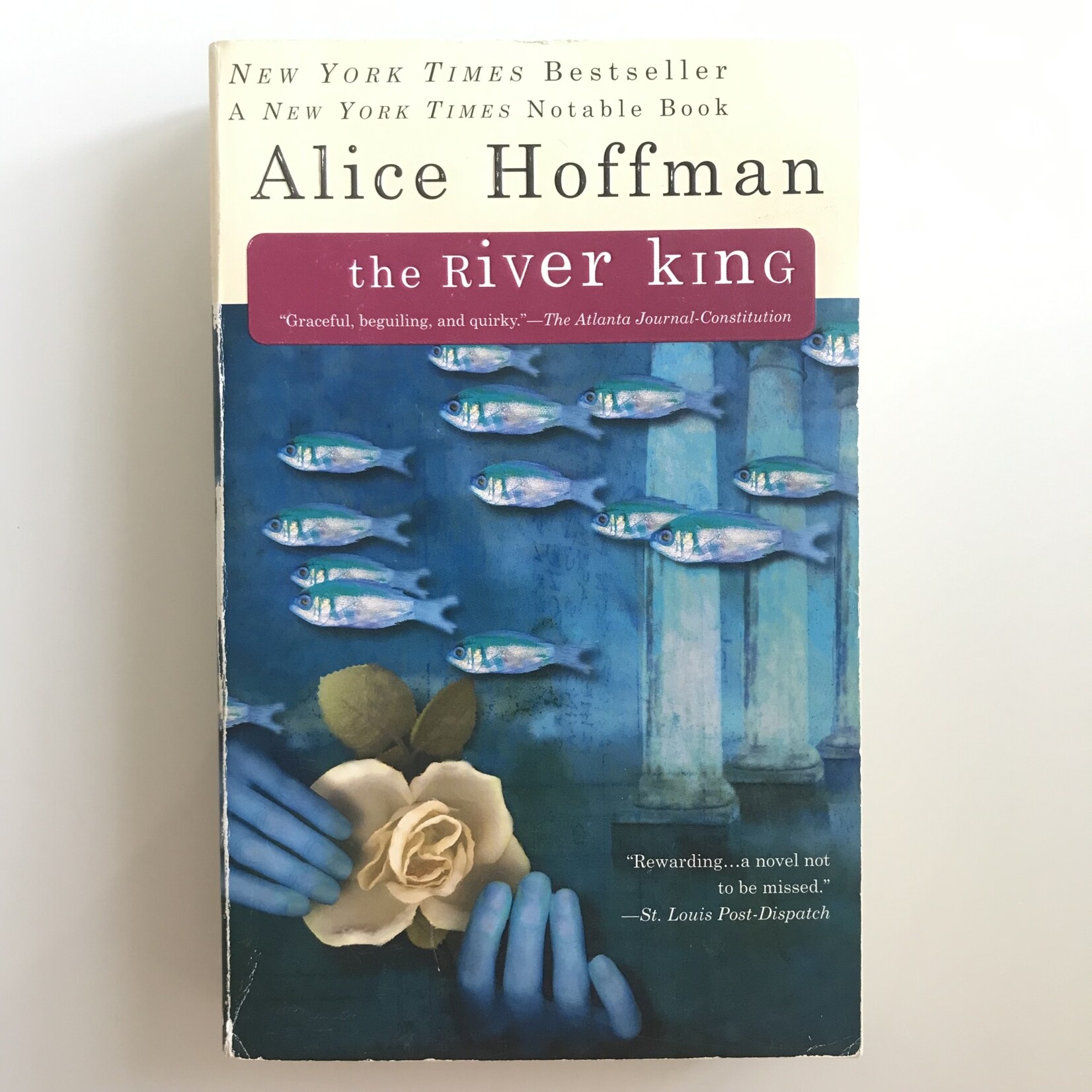 Alice Hoffman - The River King - Paperback (USED)