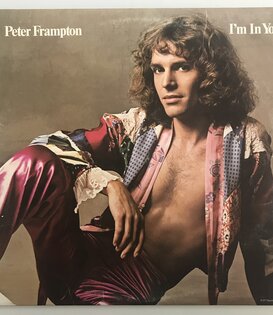 Peter Frampton - I’m In You - Vinyl LP (USED)