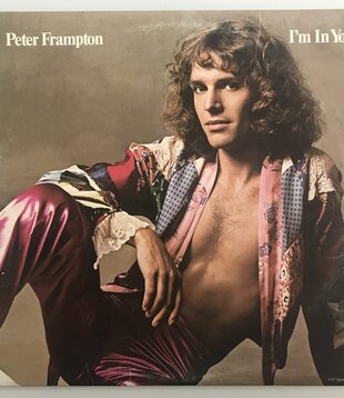 Peter Frampton - I’m In You - Vinyl LP (USED)
