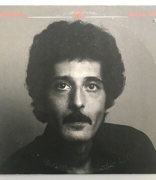 Pat Martino - Joyous Lake - Vinyl LP (USED)