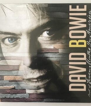 David Bowie - Best Of Seven Months In America - Vinyl LP (USED - SEALED)
