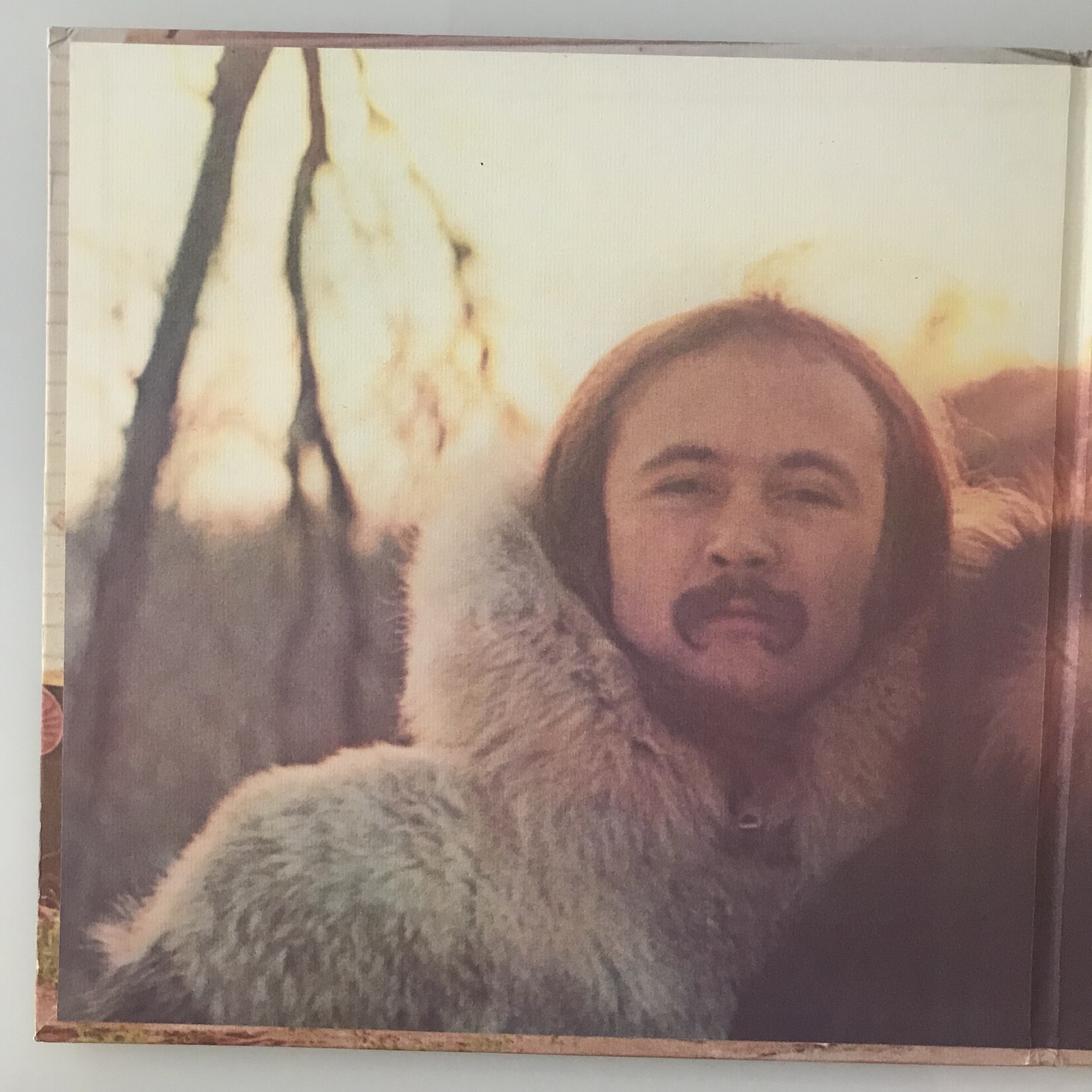 Crosby, Stills & Nash - Crosby, Stills & Nash - Vinyl LP (USED)