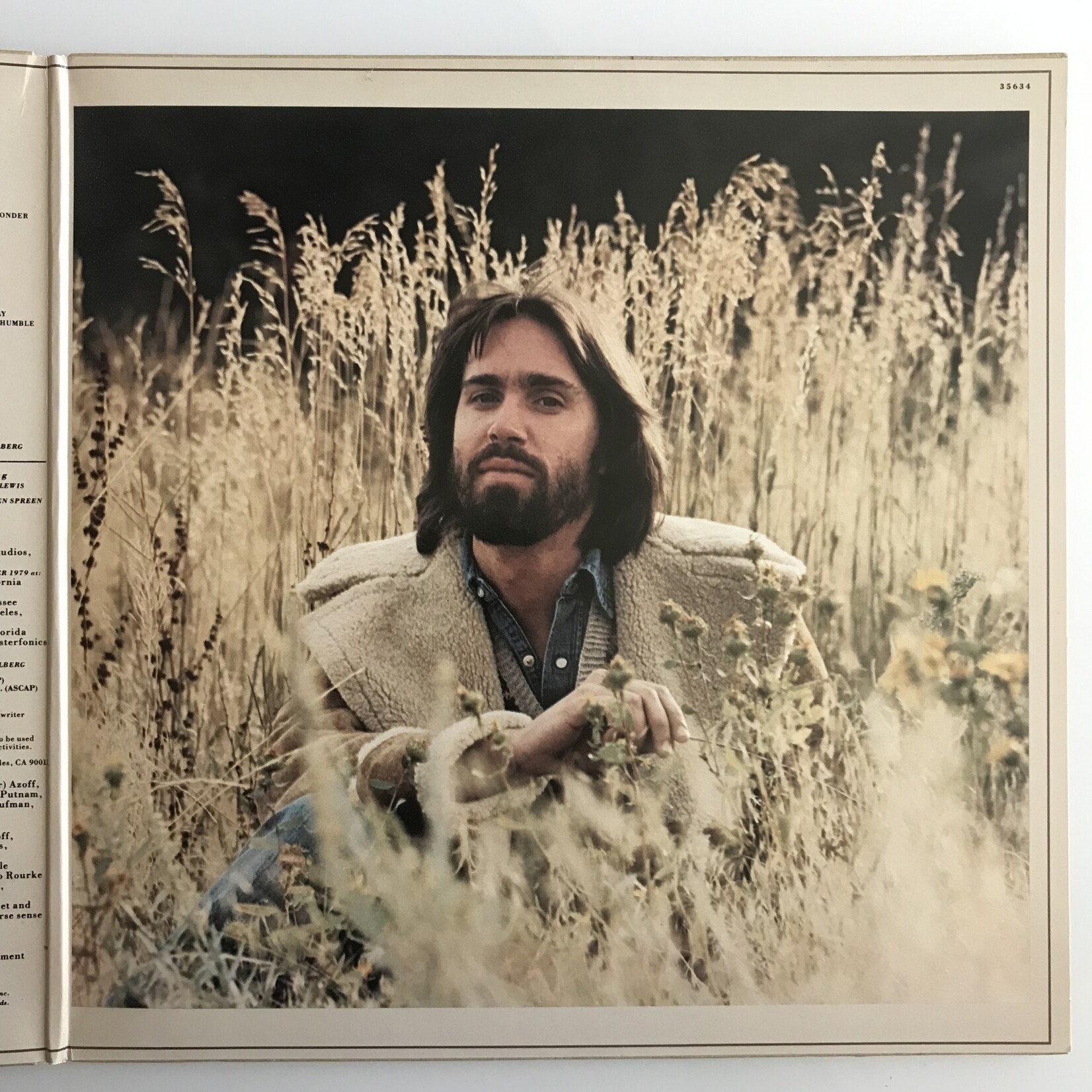 Dan Fogelberg - Phoenix - Vinyl LP (USED)