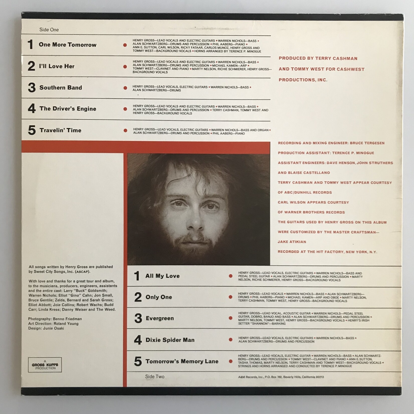 Henry Gross - Plug Me Into Something - Vinyl LP (USED)