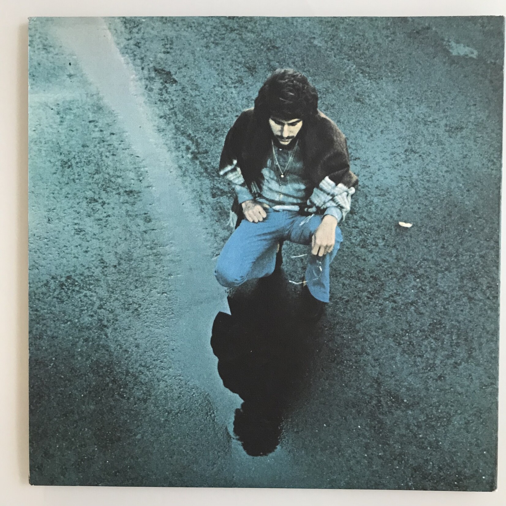 Johnny Rivers - Slim Slo Rider - Not Fragile - Vinyl LP (USED)