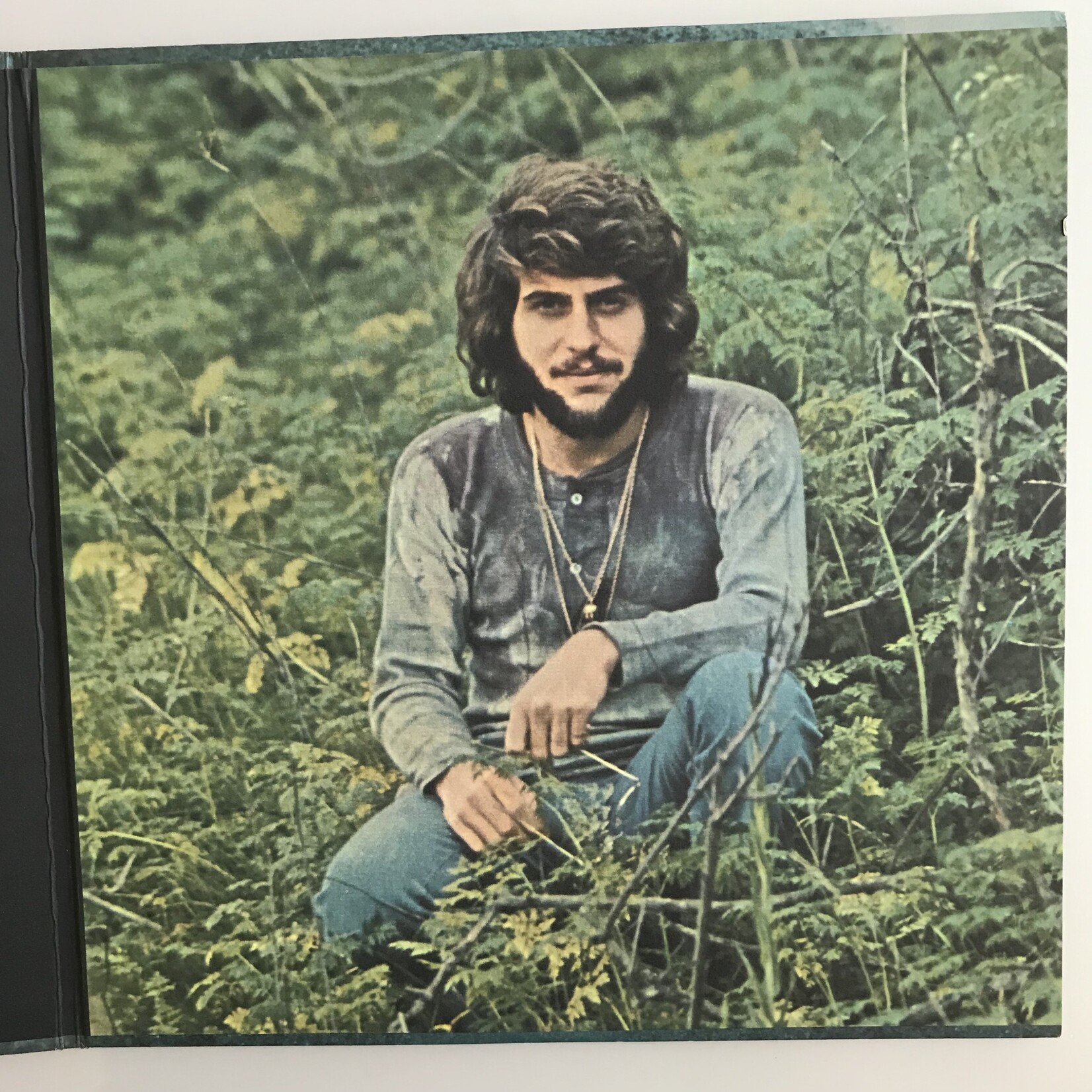 Johnny Rivers - Slim Slo Rider - Not Fragile - Vinyl LP (USED)