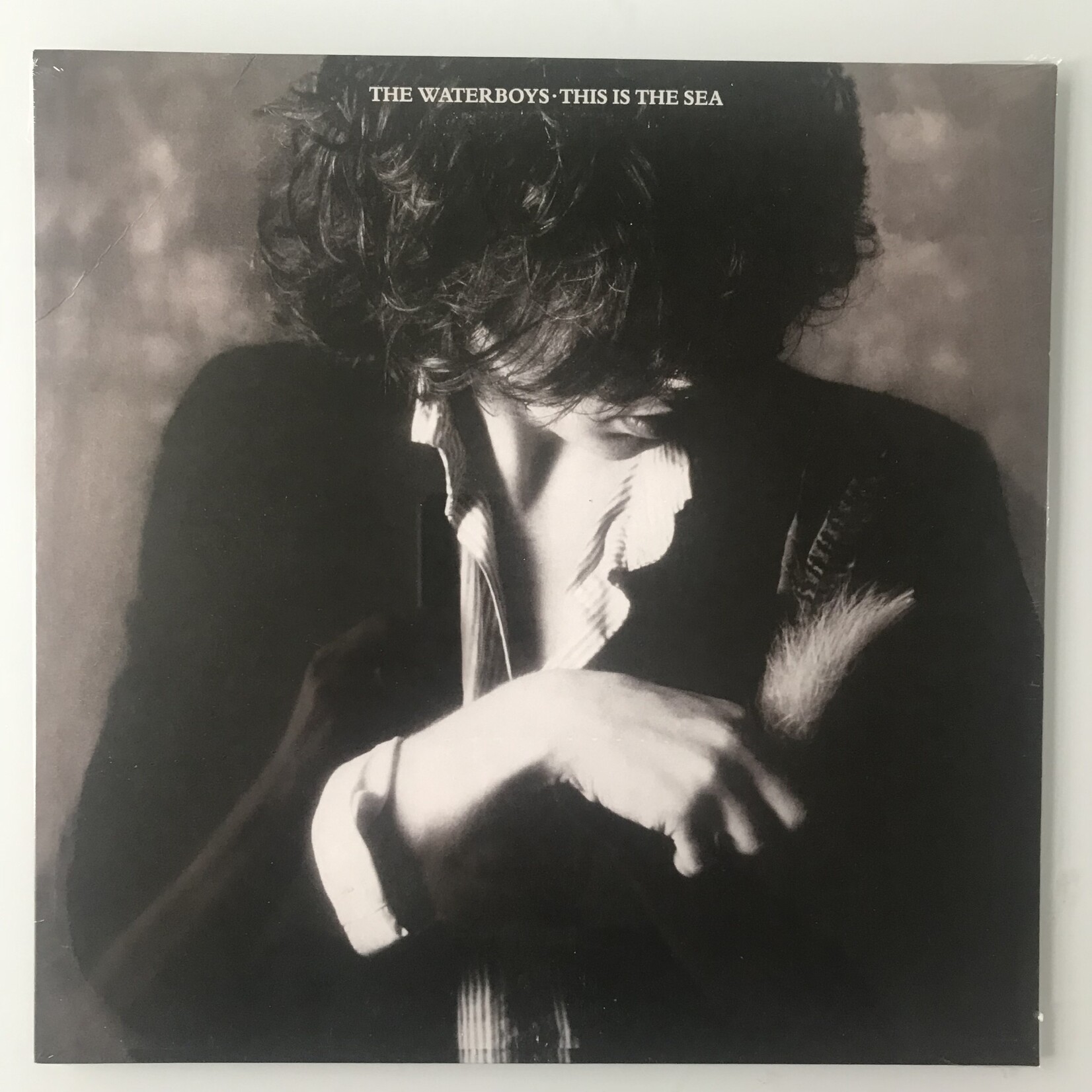 Waterboys - This Is The Sea - Vinyl LP (NEW)