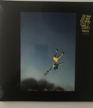 Yeah Yeah Yeahs - Cool It Down (Opaque Yellow) - SELY4700 - Vinyl LP (NEW)