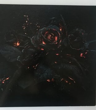 Future - Evol - Vinyl LP (USED)