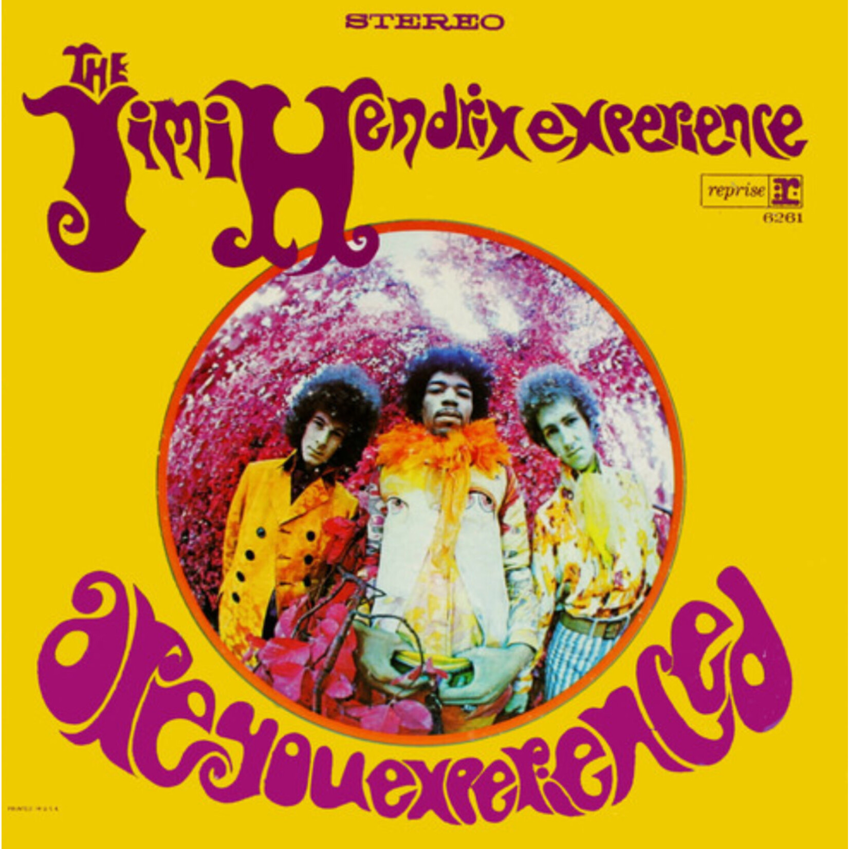 Jimi Hendrix Experience - Are You Experienced - SNYL305985 - Vinyl LP (NEW)