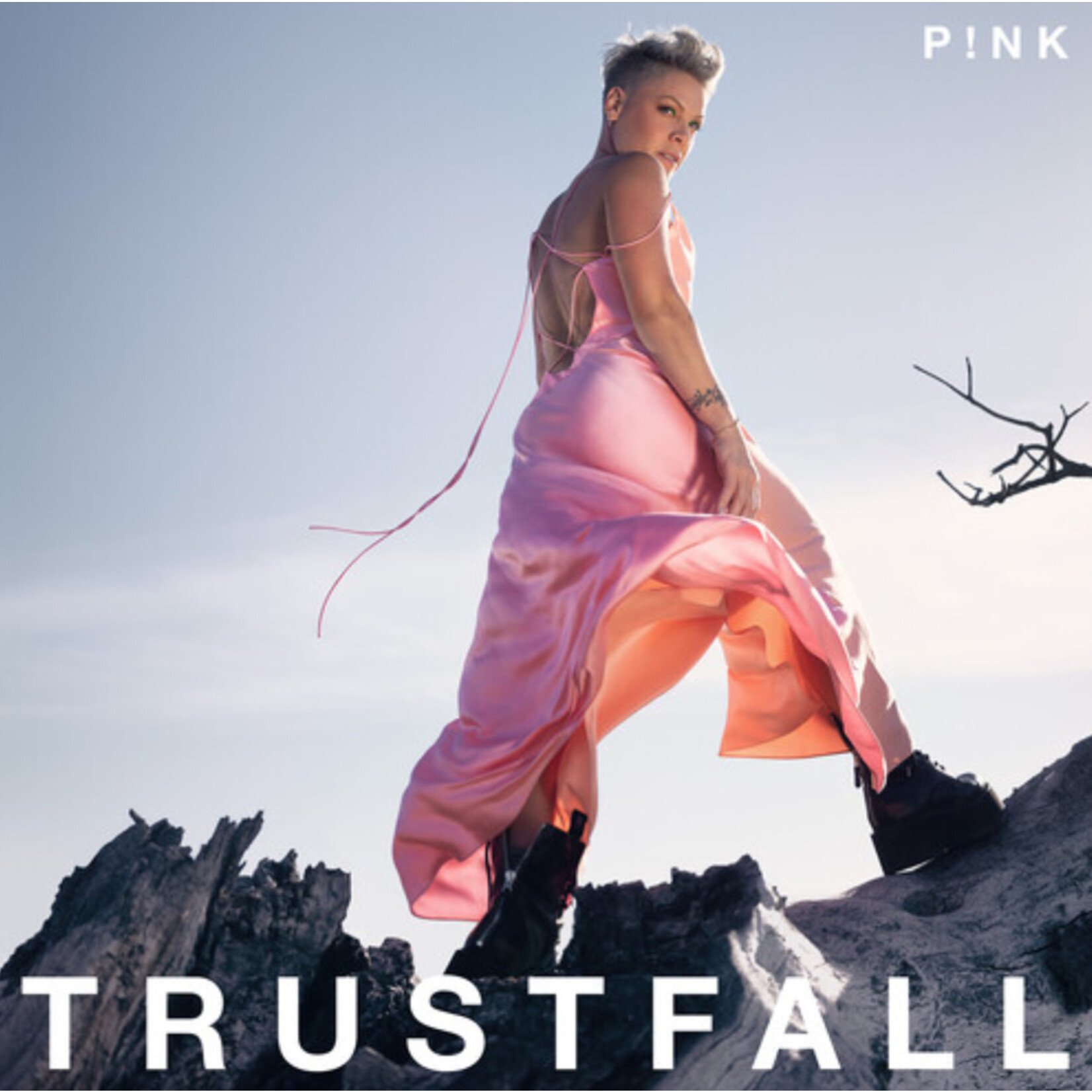 Pink - Trustfall - Vinyl LP (NEW)