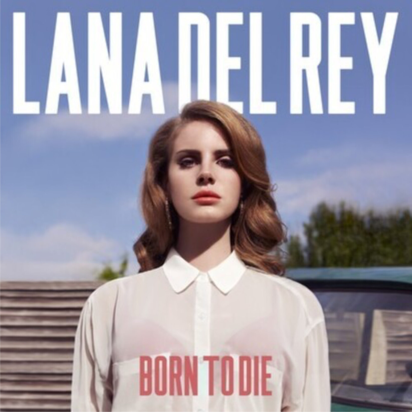 Lana Del Rey - Born To Die - Vinyl LP (NEW)