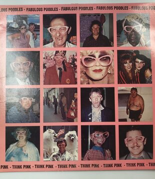 Fabulous Poodles - Think Pink - Vinyl LP (USED)