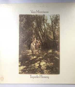 Van Morrison - Tupelo Honey - WS 1950 -Vinyl LP (USED)