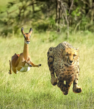 Thundercat, Tame Impala - No More Lies - BF7135 - Vinyl 45 (NEW - LE)