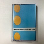 Royal Arctic Institute - From Catnap To Coma - Cassette (USED)