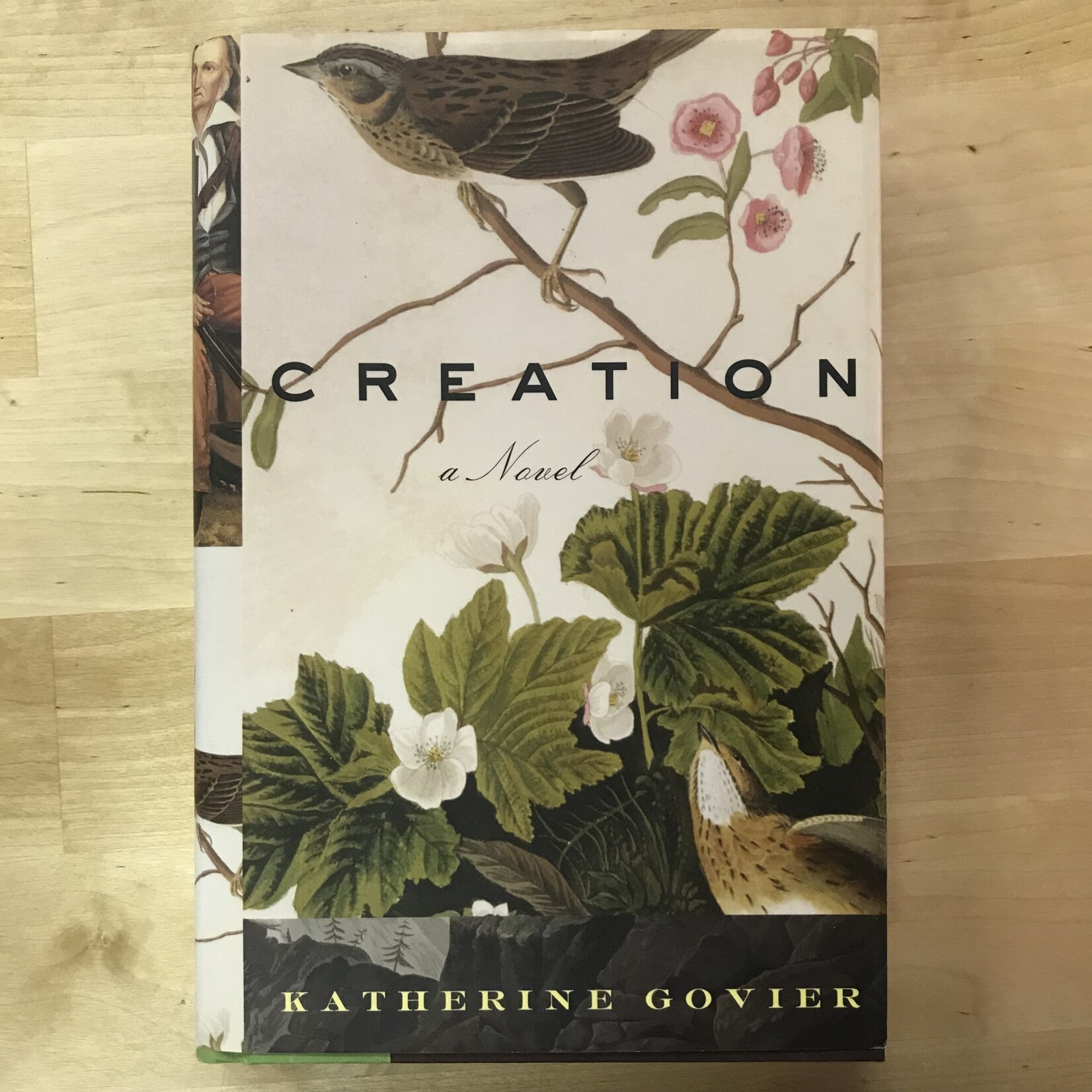 Katherine Govier - Creation - Hardback (USED)