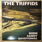 Triffids - Born Sandy Devotional - HOTLP 1023 - Vinyl LP (USED)