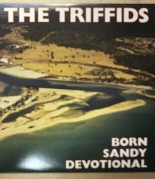 Triffids - Born Sandy Devotional - HOTLP 1023 - Vinyl LP (USED)