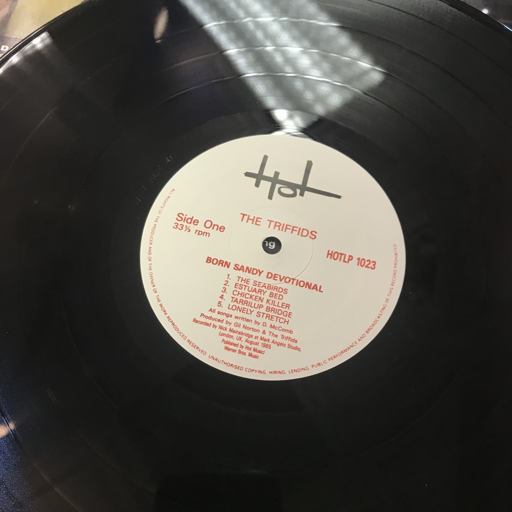 Triffids - Born Sandy Devotional - HOTLP 1023 - Vinyl LP (USED)