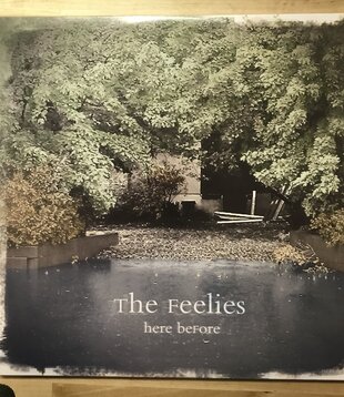 Feelies - Here Before - BRN LP 204 - Vinyl LP (USED)