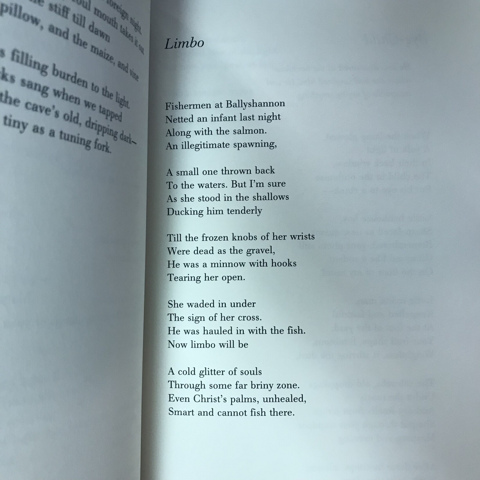 Seamus Heaney - Selected Poems 1966-1987 - Hardback (USED)