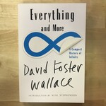 David Foster Wallace - Everything And More - Paperback (USED)