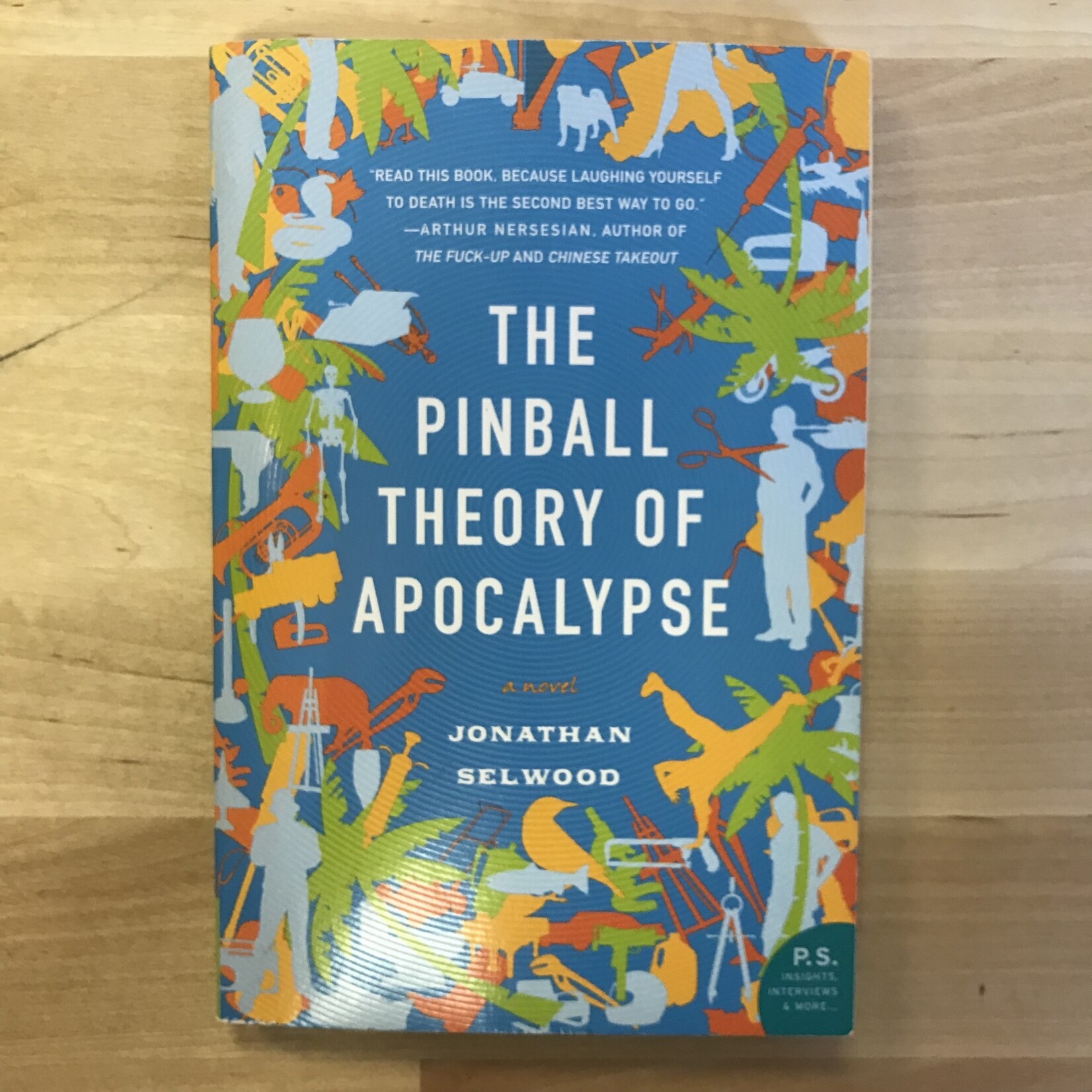 Jonathan Selwood - The Pinball Theory Of Apocalpyse - Paperback (USED)
