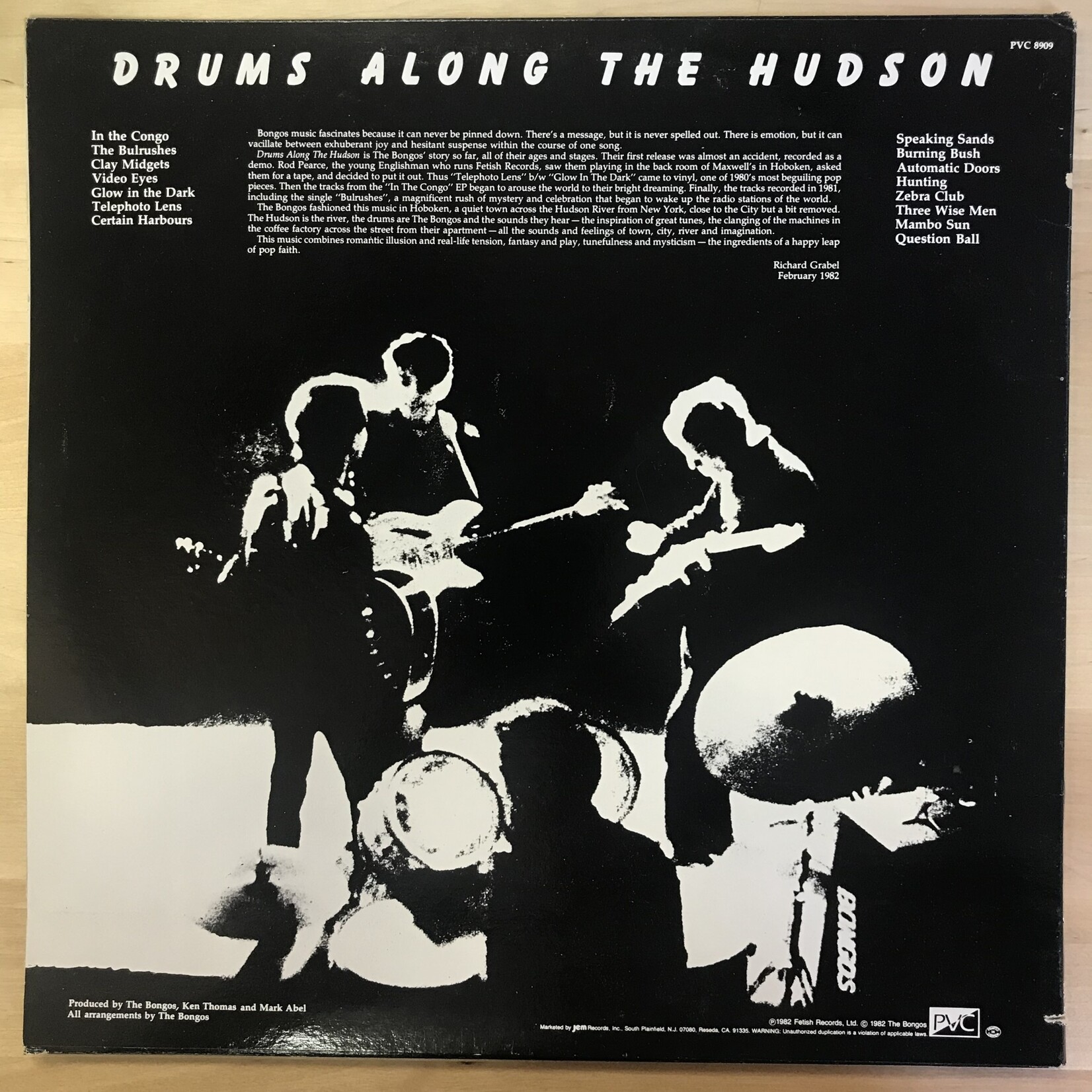 Bongos - Drums Along The Hudson - PVC809 - Vinyl LP (USED)