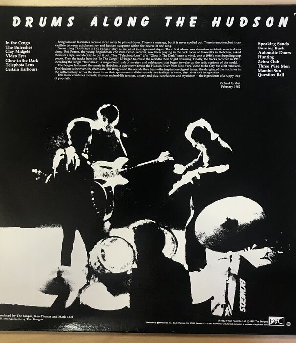 Bongos - Drums Along The Hudson - PVC809 - Vinyl LP (USED)