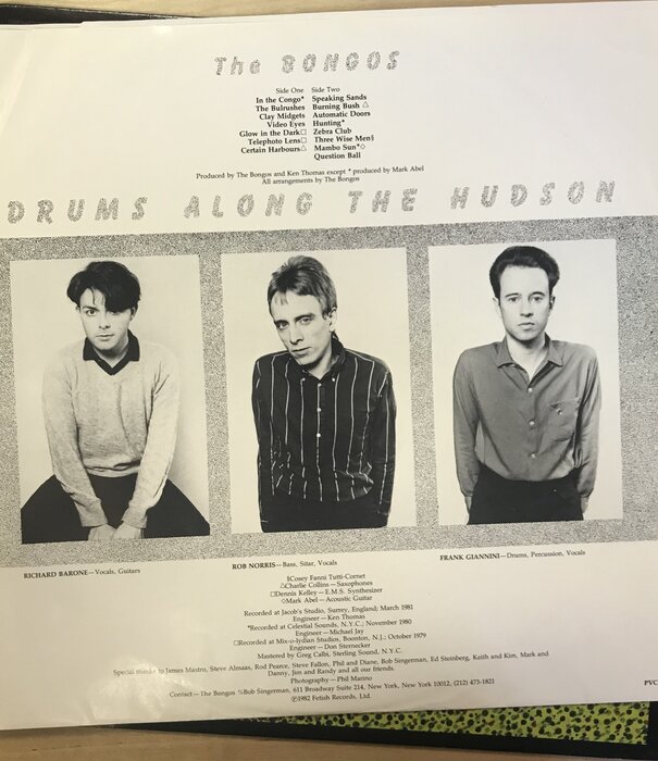 Bongos - Drums Along The Hudson - PVC809 - Vinyl LP (USED)