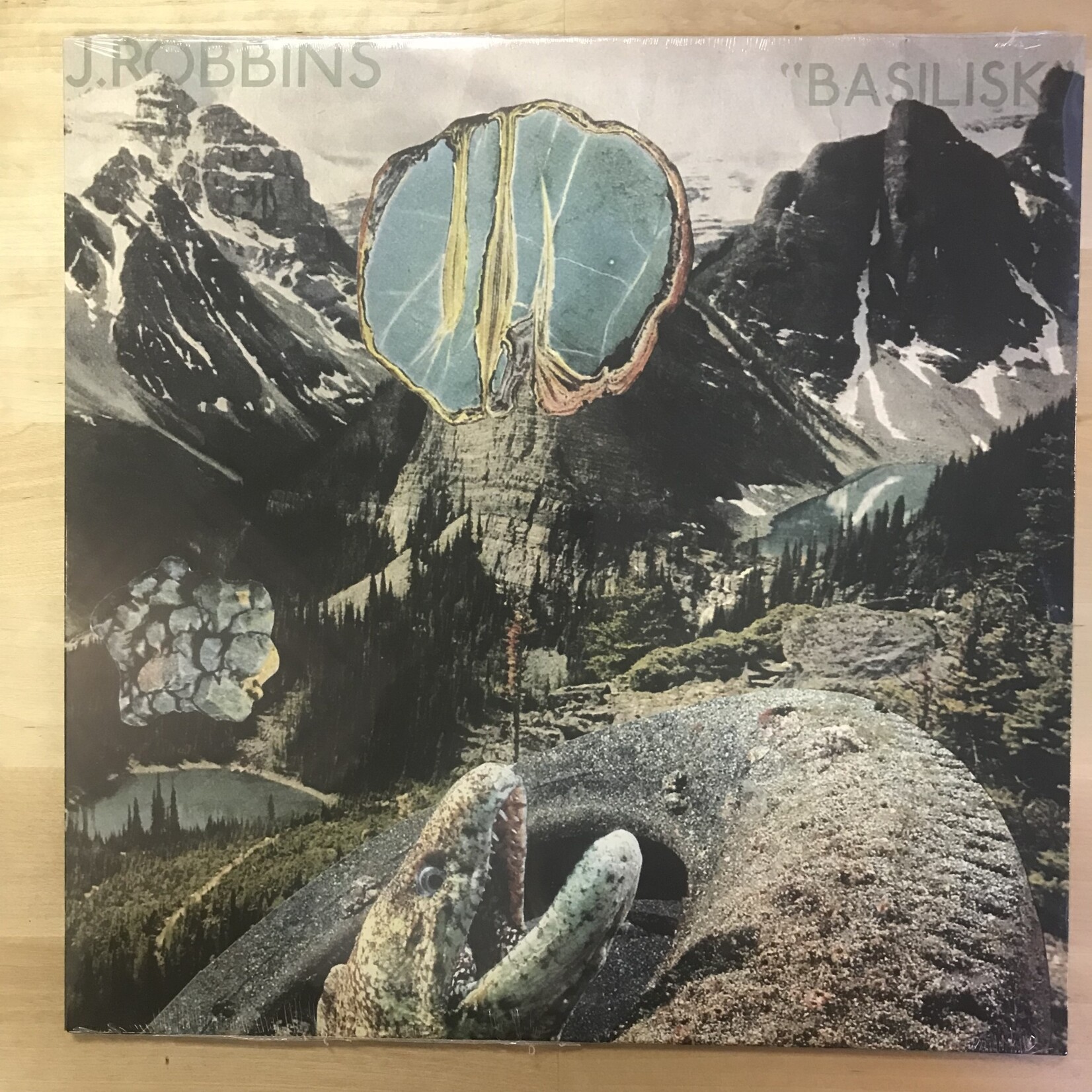 J. Robbins - Basilisk - DIS196V - Vinyl LP (NEW)