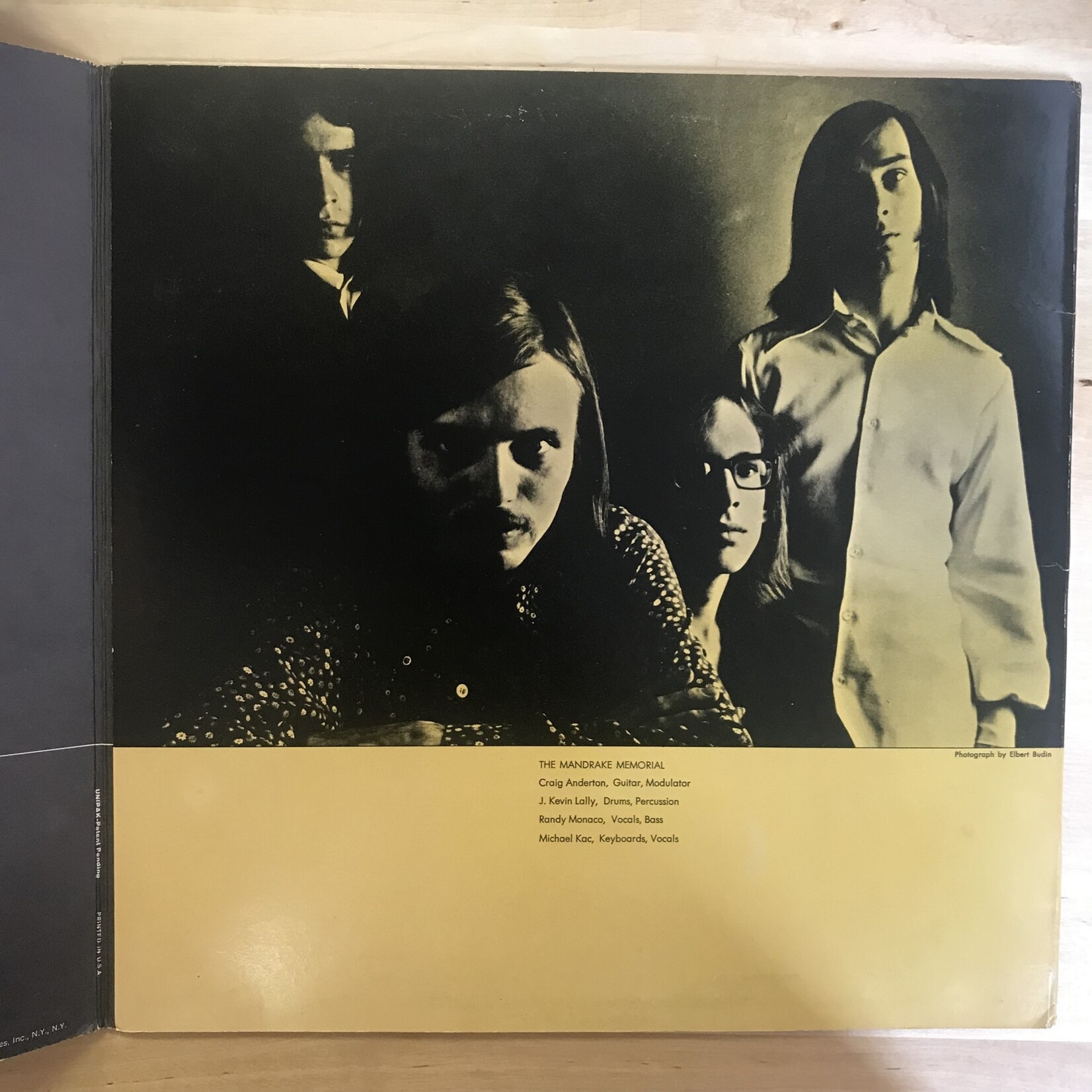 Mandrake Memorial - Medium - PYS40003 - Vinyl LP (USED)